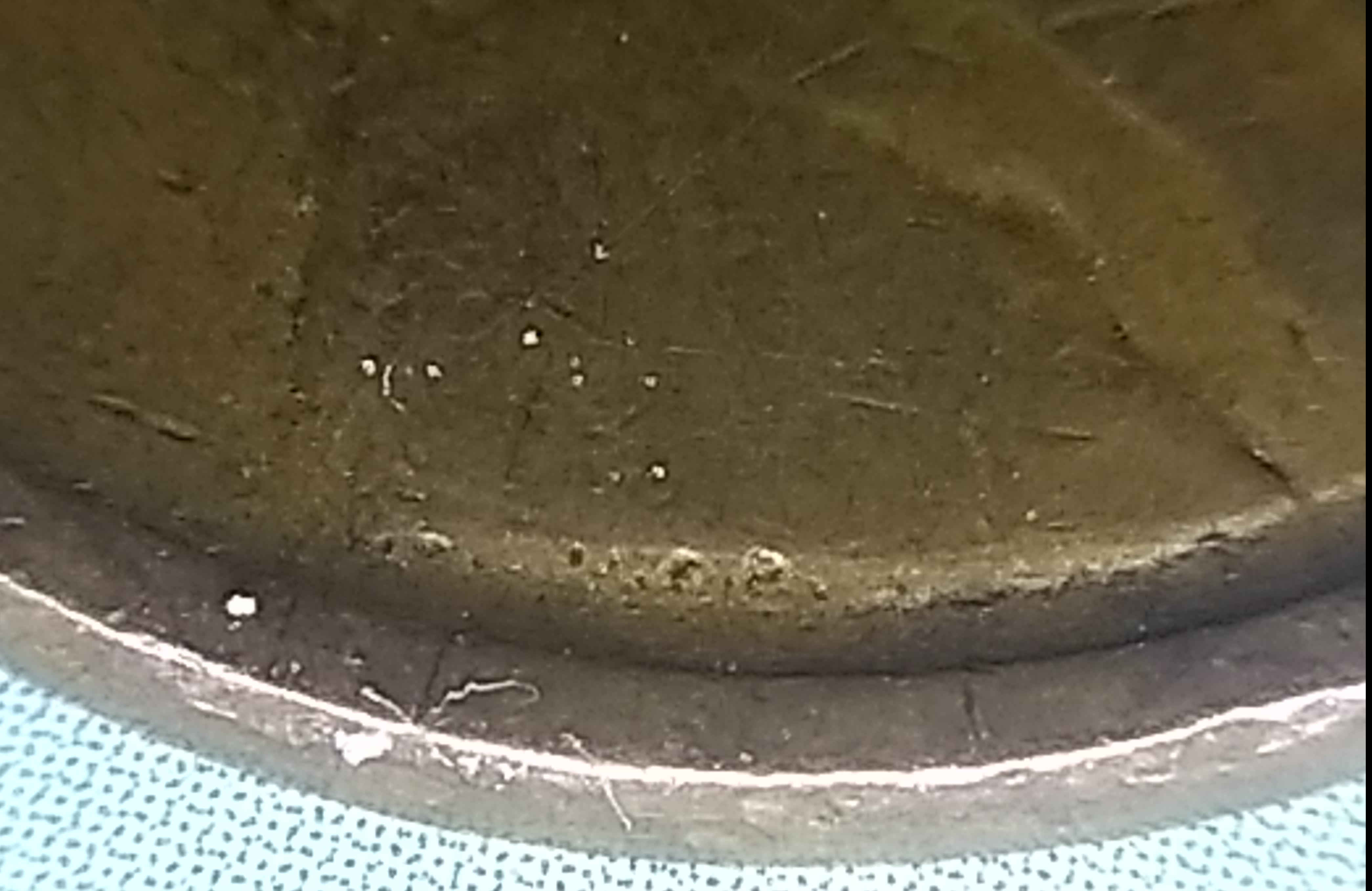 Wheat-Penny-Missing-3RD-No.-Dot-After-Date
